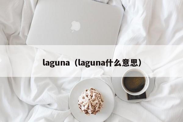 laguna（laguna什么意思）