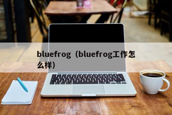 bluefrog（bluefrog工作怎么样）